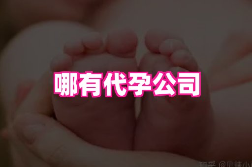 东莞助孕网站 1