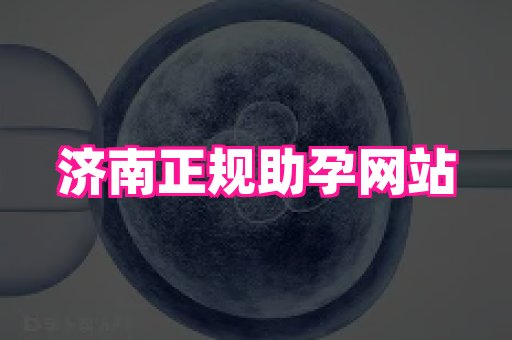 东莞助孕网站 4